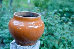 vecchio ceramica pentola nel il foresta, vicino Visualizza foto