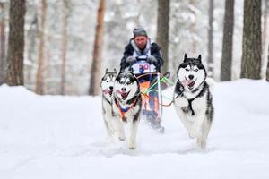 corse di cani da slitta husky siberiano foto