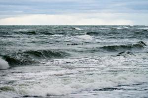 vista del mare blu con onde spumeggianti e frangiflutti in legno foto