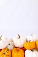 autunno decorazione su bianca con copia spazio. autunno, Halloween, ringraziamento foto