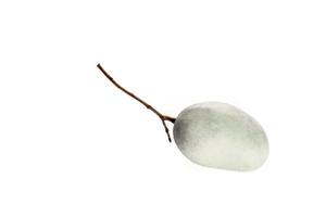 singolo grigio Mango su bianca sfondo foto