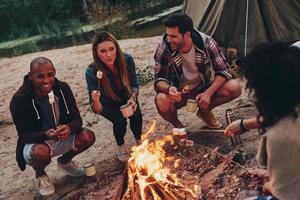 fare che cosa essi amore. gruppo di giovane persone nel casuale indossare torrefazione marshmallows al di sopra di un' fuoco di bivacco mentre riposo vicino il lago foto