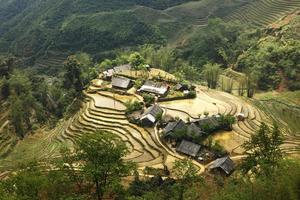 campi di riso terrazzati a sapa, vietnam foto