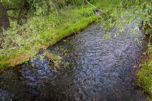 fiume superficie sfondo foto