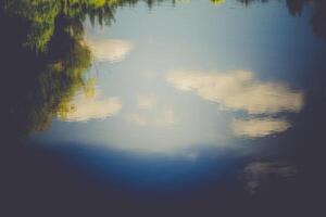 alberi riflessione nel il fiume retrò foto