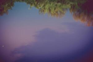 alberi riflessione nel il fiume retrò foto