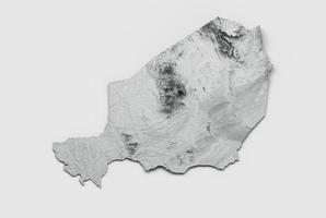 mappa del niger bandiera mappa dell'altezza del colore in rilievo ombreggiato su sfondo bianco illustrazione 3d foto