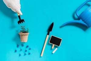 un' donna di mano è Lavorando con giardino utensili al di sopra di germogli nel un' pentola e un' irrigazione può foto