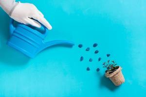 un' donna di mano acque il germogli nel un' pentola con un' irrigazione può su un' blu sfondo foto