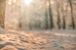 inverno natura avvicinamento, morbido luce del sole sfocato foresta alberi. idilliaco la libertà avventura natura concetto. sereno sentiero in sfocato foresta alberi. ispirazione calma natura paesaggio, caldo soleggiato Visualizza foto