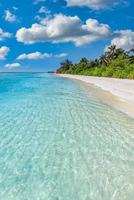 bellissimo isola spiaggia. tropicale paesaggio di panoramico estate, bianca sabbia, palma alberi, mare. lusso viaggio vacanza destinazione. esotico spiaggia costa soleggiato cielo. sorprendente natura rilassare la libertà natura modello foto