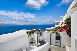 estate vacanza panorama, lusso famoso Europa destinazione. bianca architettura nel santorini, Grecia. romantico vacanza paesaggio viaggio con rosa fiori soleggiato blu cielo. sorprendente bellissimo ricorrere Hotel foto