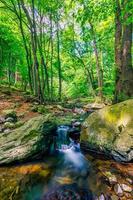 cascate su chiaro torrente nel foresta. estate montagna ruscello paesaggio, morbido luce del sole. escursioni a piedi e viaggio all'aperto avventura bosco, calma torrente. sereno natura avvicinamento, rocce, muschio fresco verde alberi foto