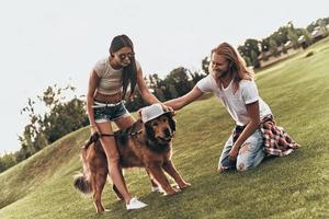 vero stile. bello giovane uomo mettendo un' cappello su il cane mentre la spesa spensierato tempo con il suo fidanzata all'aperto foto