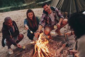 gioia di campeggio. gruppo di giovane persone nel casuale indossare torrefazione marshmallows al di sopra di un' fuoco di bivacco mentre riposo vicino il lago foto