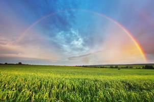 arcobaleno sul campo di primavera foto