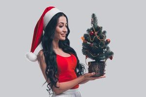 preparazione per Natale. attraente giovane donna nel Santa cappello Tenere poco Natale albero e guardare a esso con Sorridi mentre in piedi nel davanti di grigio sfondo foto