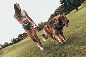 spensierato tempo insieme. pieno lunghezza di bellissimo giovane donna giocando con sua cane e sorridente mentre a piedi all'aperto foto