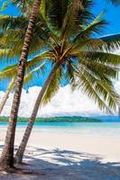 spiaggia tropicale esotica con sabbia bianca e acque blu