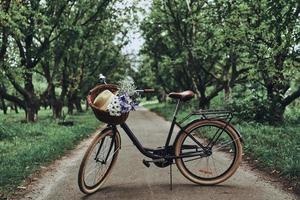 verde trasporto. avvicinamento di bicicletta con fiori e un' cappello nel il cestino in piedi su il strada all'aperto foto