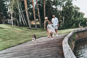 bene camminare. pieno lunghezza di carino poco ragazza in esecuzione con cane e sorridente mentre sua genitori a piedi dietro a foto