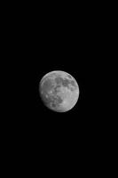 divertimento Luna a un' buio notte foto