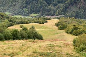 frammento di il montagnoso terreno nel il Carpazi, Ucraina. il foresta è perdonato di il rilievi di il carpazi montagne foto