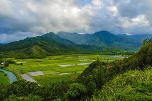 affacciato sulle fattorie di taro nella valle di hanalei, kauai, hawaii, usa foto