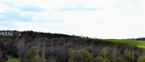 panorama di il rurale paesaggio nel il presto estate foto