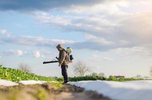 un' contadino spray sostanze chimiche su un' Patata piantagione campo. controllo di uso di sostanze chimiche in crescita cibo. protezione di coltivato impianti a partire dal insetti e fungine infezioni. è aumentato raccolto. foto