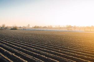 inverno azienda agricola campo pronto per nuovo piantare stagione. preparatorio agricolo opera per primavera. la scelta giusto tempo per seminare i campi pianta semi, protezione a partire dal primavera gelate. agricoltura e agroalimentare. foto