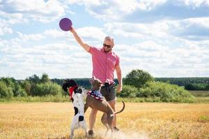 formazione cani su il luogo foto