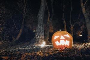 pauroso zucca nel il foresta foto