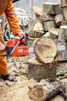 taglialegna logger lavoratore nel protettivo Ingranaggio taglio legna da ardere legname albero nel foresta con motosega foto