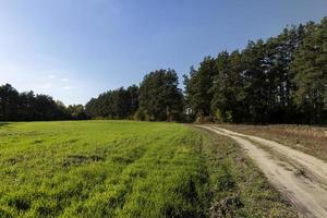 un' rurale strada senza asfalto nel il autunno stagione foto