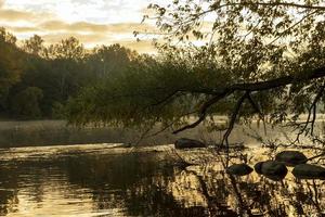 mattina nebbiosa sul fiume foto