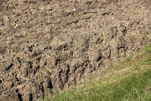 preparazione di suolo per semina impianti foto