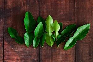foglie di lime kaffir verde fresco