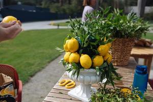 nozze composizione con verde le foglie e limoni foto