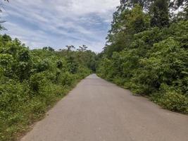 un' strada rialzata nel il campagna circondato di piantagioni foto