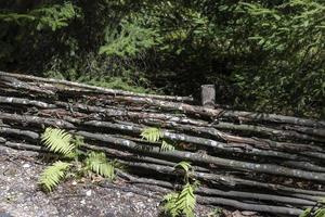 di legno recinto per sicurezza foto