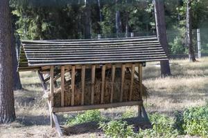 di legno alimentatori nel il parco con animali foto