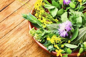 naturale medicina, fresco piante, guarigione erbe aromatiche foto
