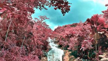 bellissimo viola e rosa infrarosso panorama di un' paesaggio su il Seychelles foto