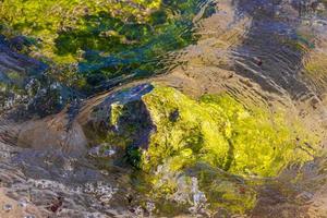 pietre rocce coralli turchese verde blu acqua su spiaggia Messico. foto