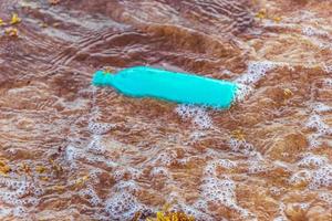 molto disgustoso rosso alga marina sargazo spiaggia con spazzatura inquinamento Messico. foto