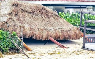 uragano 2021 playa del Carmen Messico distruzione devastazione rotto alberi. foto