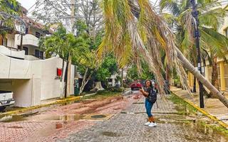 playa del Carmen quintana roo Messico 2021 uragano 2021 playa del Carmen Messico distruzione devastazione rotto alberi. foto