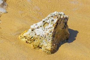 pietre rocce coralli turchese verde blu acqua su spiaggia Messico. foto