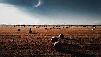 campo di erba marrone sotto il cielo blu durante il giorno foto